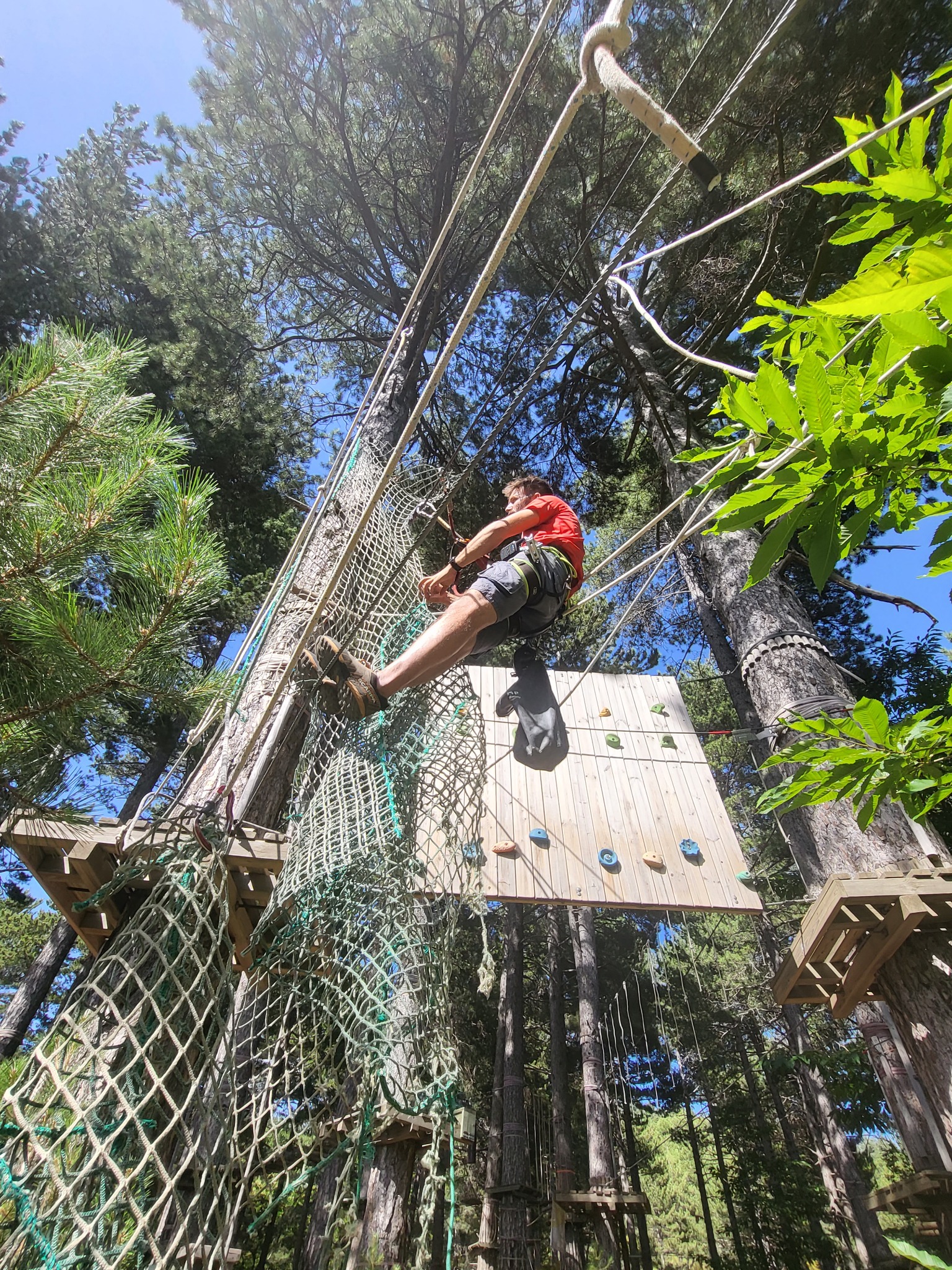 Arrampicata e reti sospese tra gli alberi
