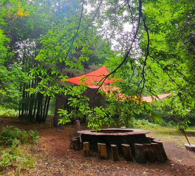 Area relax immersa nel verde del bosco